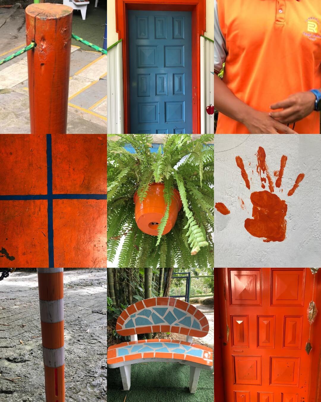 cacería-de-colores-desde-la-fotografía