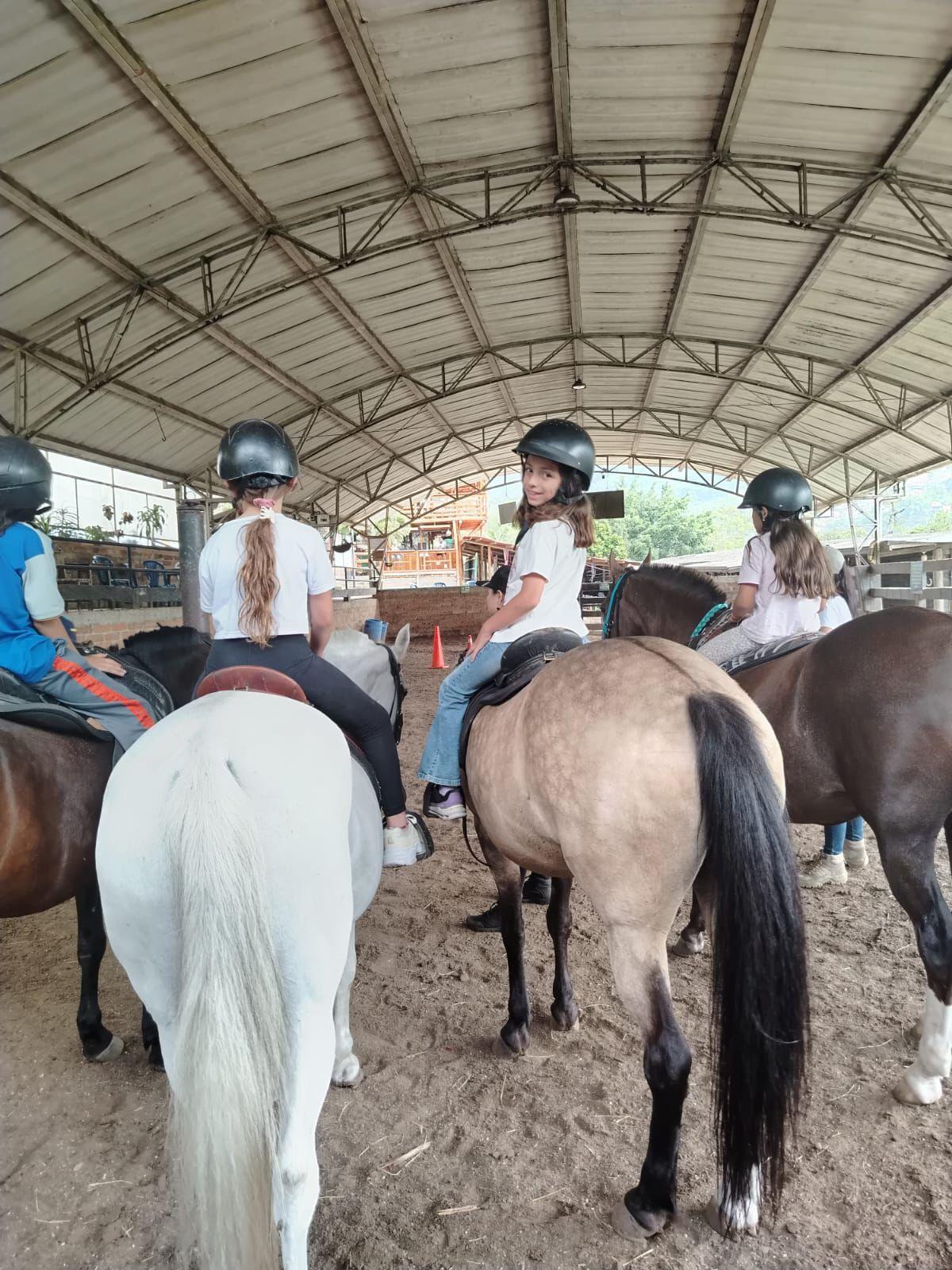 equestrianism