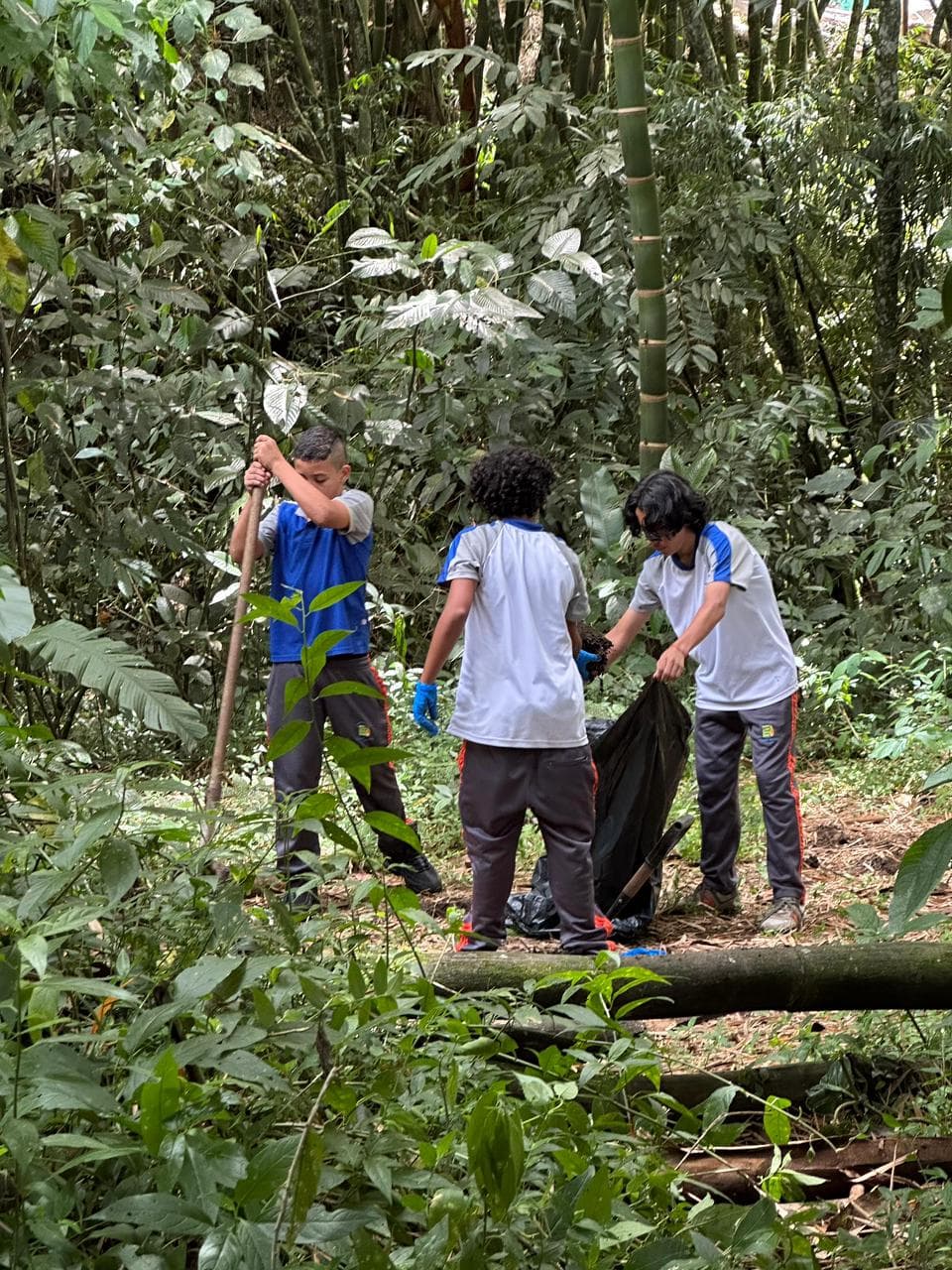 biodigestores-2