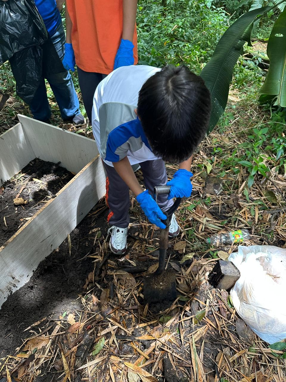 biodigestores-4