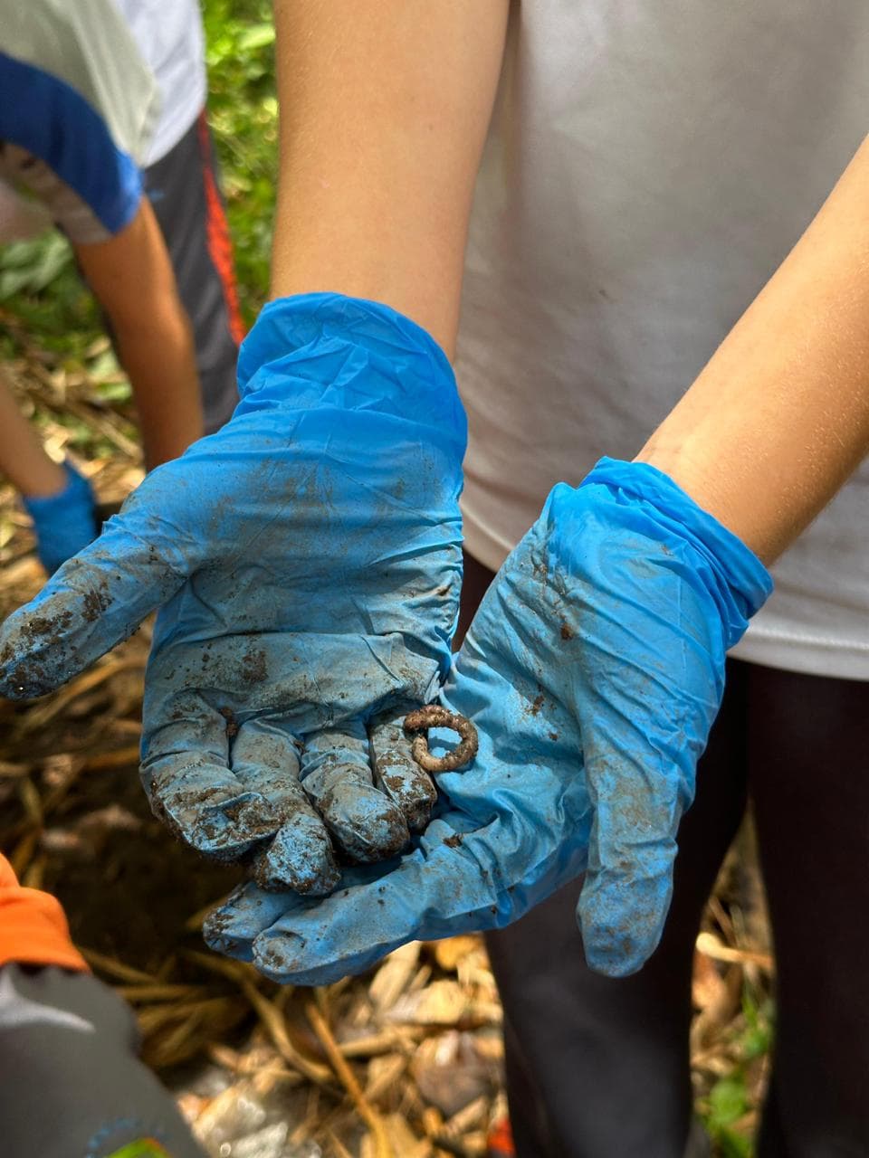 biodigestores
