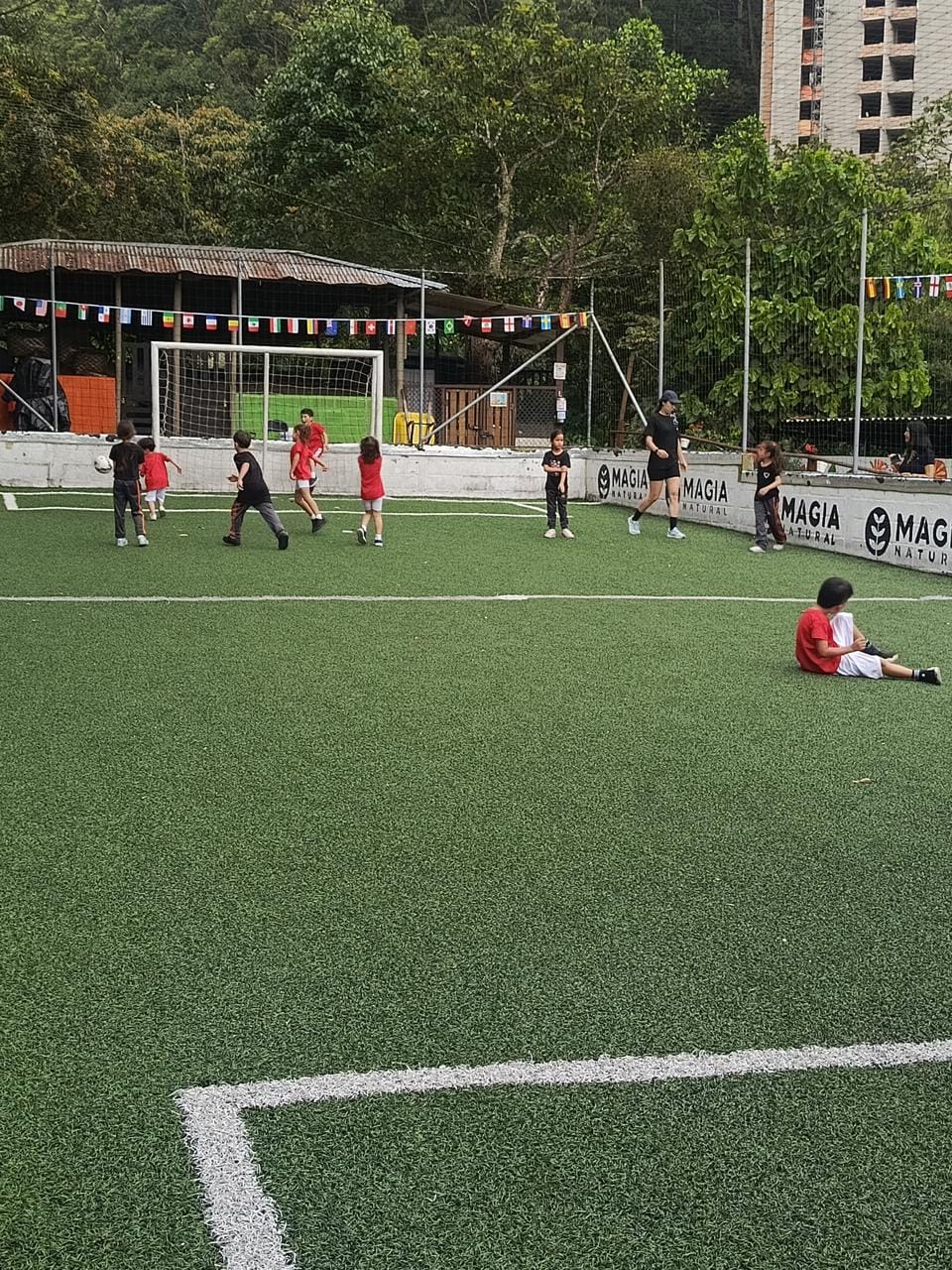 upas-mundial-futbol-partido-cancha