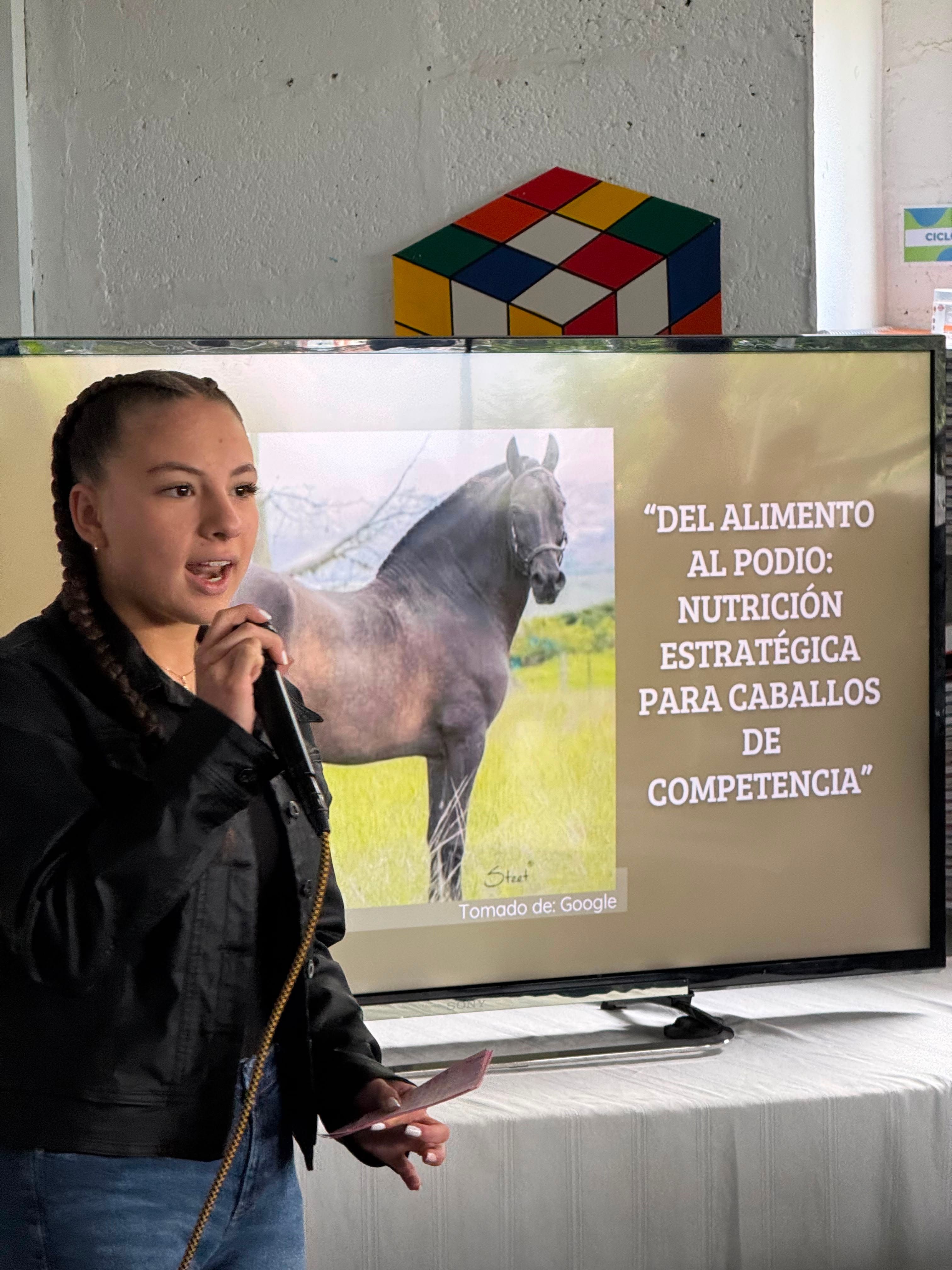 ensayo-de-grado-nutricion-equina