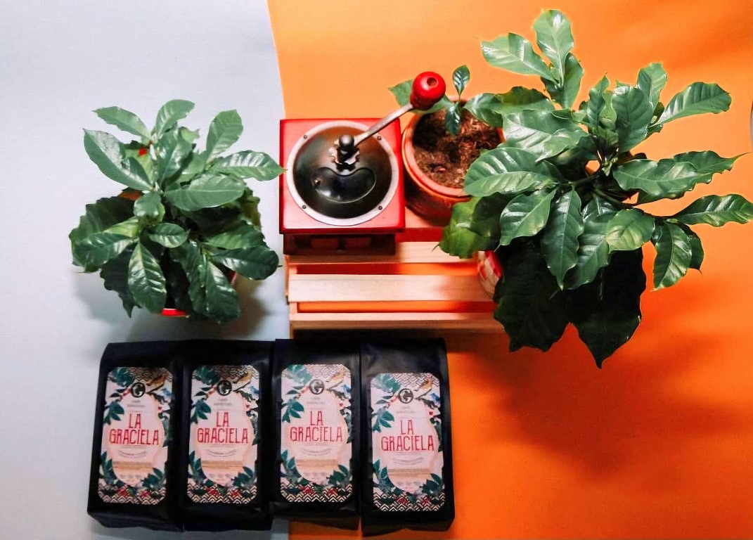 Presentación del paquete junto a plantas de café