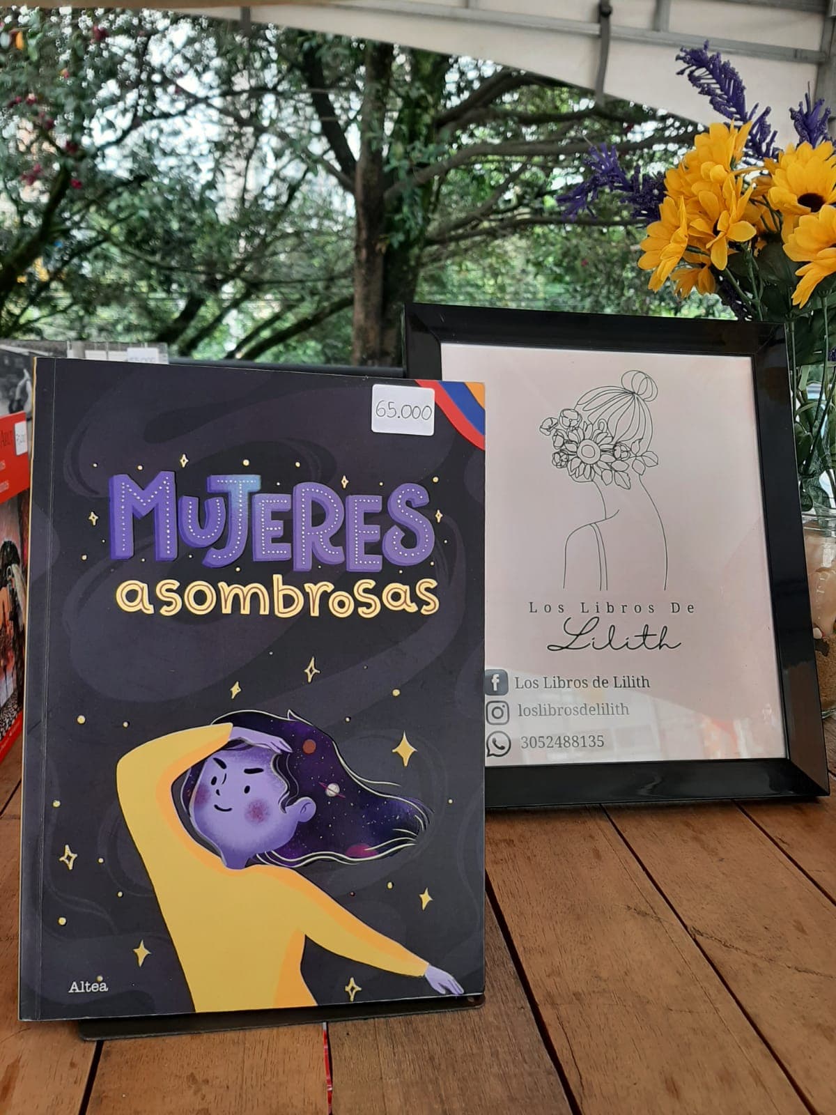 Portada del libro Mujeres Asombrosas