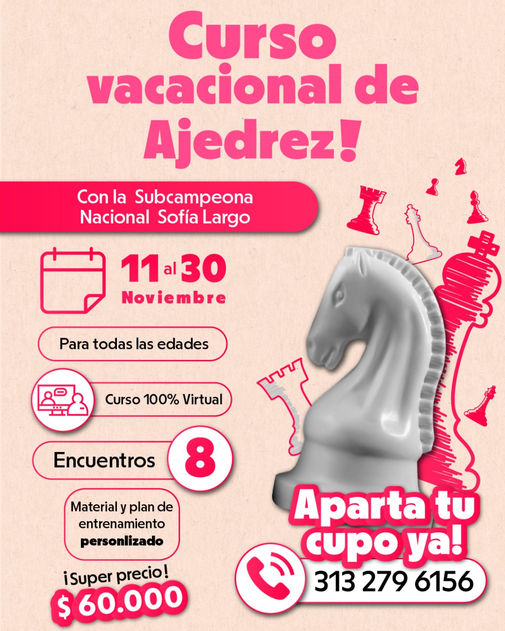 Póster del curso vacacional de ajedrez